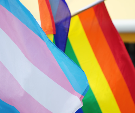 Outbreak of commonsense in gender debate - Family First Party Australia